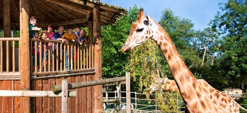 bellewaerde-animalerie