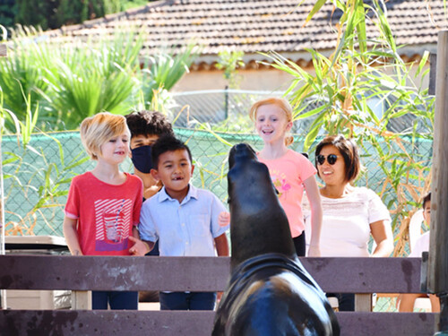 marineland-rencontres-avec-les-otaries