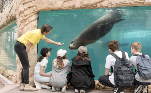 marineland-visite-thématique