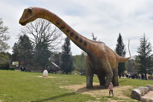 dino-zoo