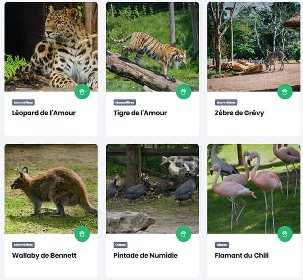 Bellewaerde Park avis animaux
