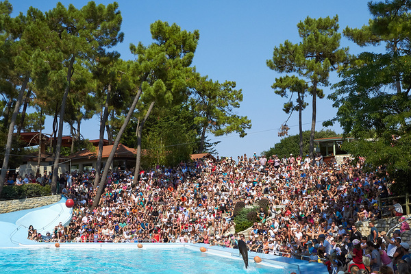 presentation-animaux-zoo-palmyre