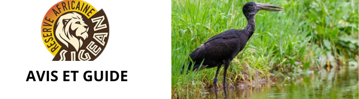 reserve-africaine-de-sigean-avis