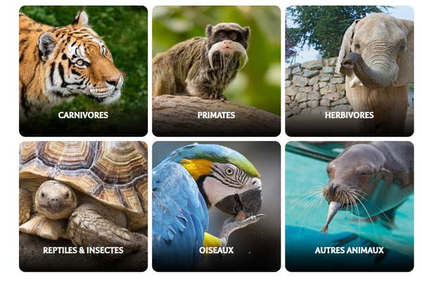 Safari Peaugres