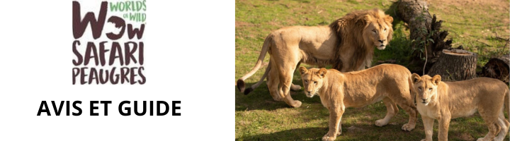wow-safari-de-peaugres-avis