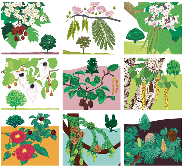 especes-vegetales-du-parc-botanique-de-branfere