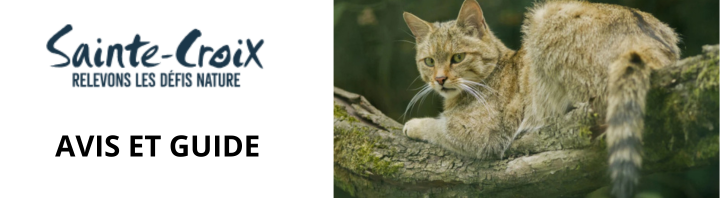 parc-animalier-sainte-croix-avis