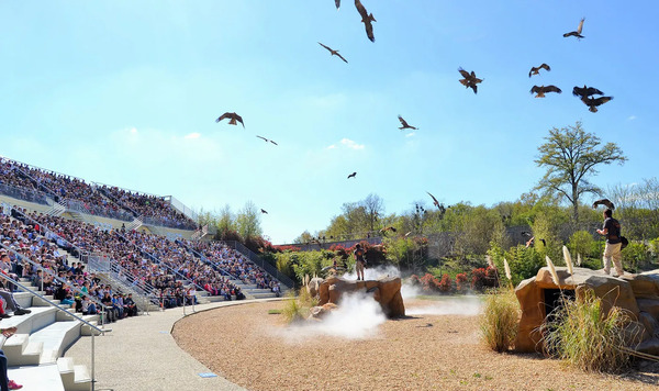 zoobeauval-spectacles-maitres-des-airs