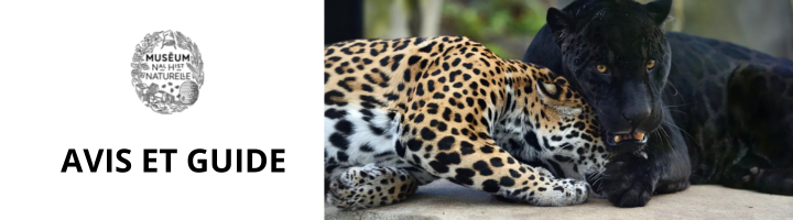 menagerie-jardin-des-plantes-avis